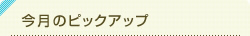 今月のピックアップ